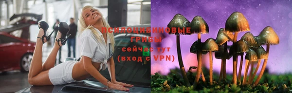 крисы Елизово