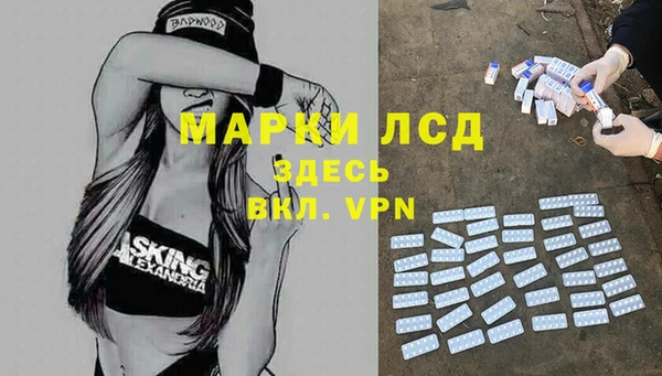 крисы Елизово